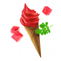 SORBETO Červený meloun