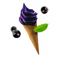 SORBETO Černý rybíz